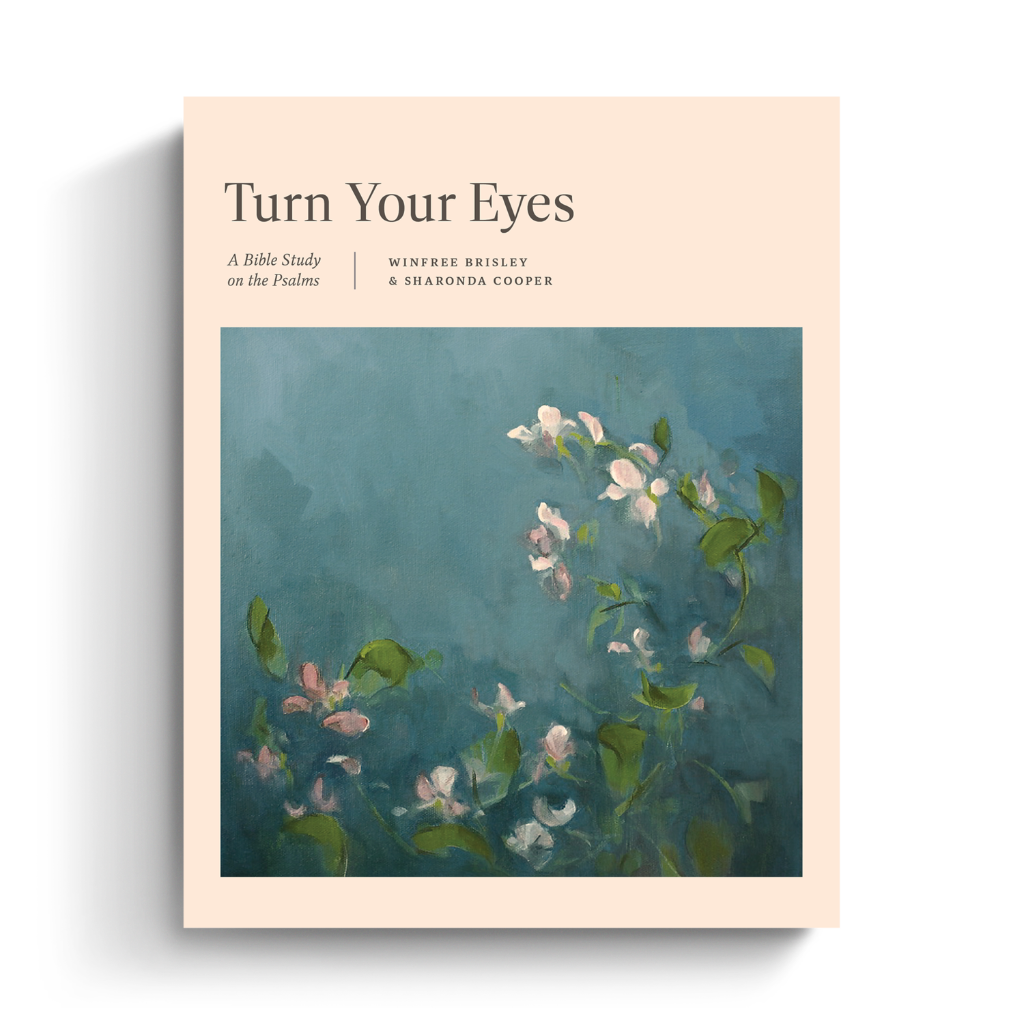 Turn Your Eyes: A Bible Study on the Psalms
