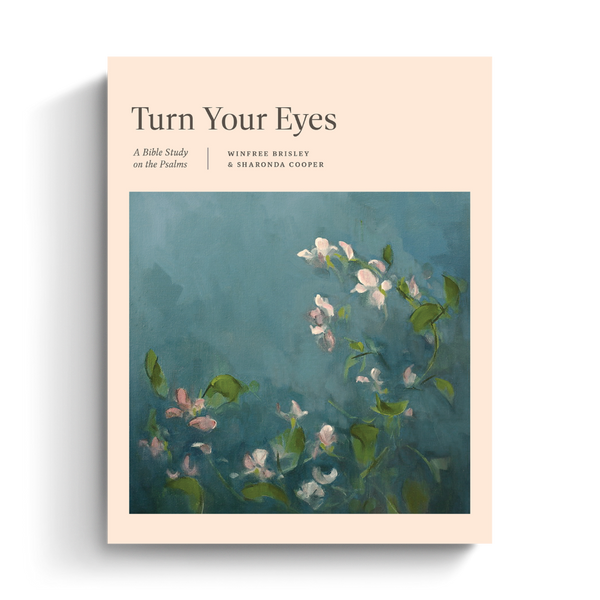 Turn Your Eyes: A Bible Study on the Psalms