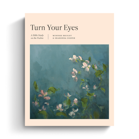 Turn Your Eyes: A Bible Study on the Psalms
