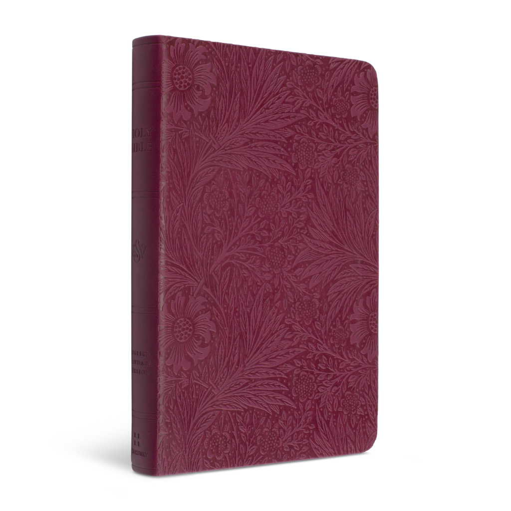 ESV Value Thinline Bible TruTone®, Raspberry, Floral Design