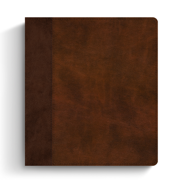 ESV Journaling Study Bible, TruTone®, Brown/Chestnut, Timeless Design