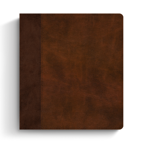 ESV Journaling Study Bible, TruTone®, Brown/Chestnut, Timeless Design