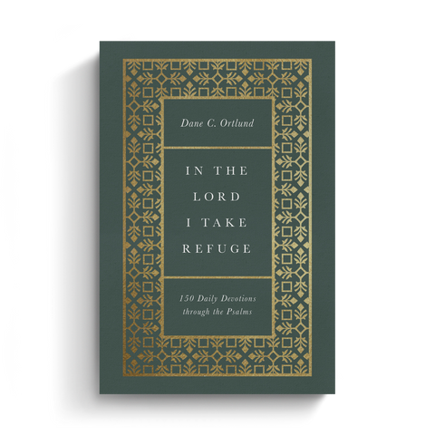 In the Lord I Take Refuge: 150 Daily Devotions through the Psalms