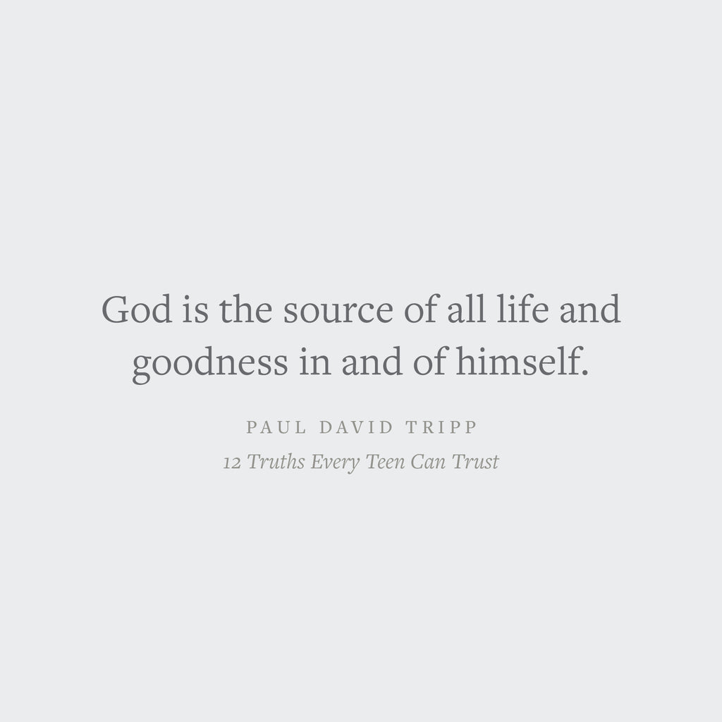 12 Truths Every Teen Can Trust: Core Beliefs of the Christian Faith That Will Change Your Life