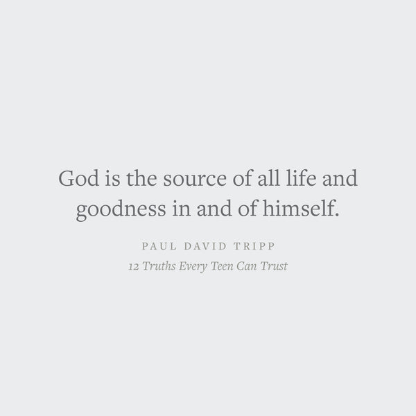 12 Truths Every Teen Can Trust: Core Beliefs of the Christian Faith That Will Change Your Life
