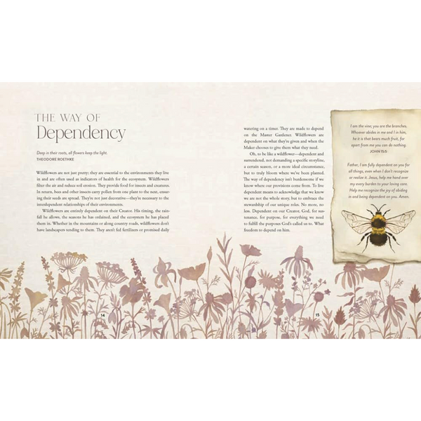 The Way of the Wildflower: Gospel Meditations to Unburden Your Anxious Soul