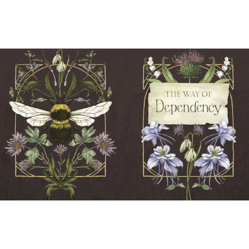 The Way of the Wildflower: Gospel Meditations to Unburden Your Anxious Soul