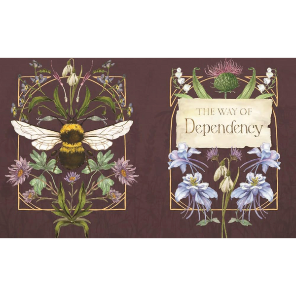 The Way of the Wildflower: Gospel Meditations to Unburden Your Anxious Soul