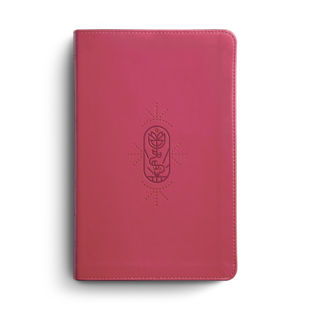 ESV Kid's Bible, Thinline TruTone®, Berry, The True Vine Design