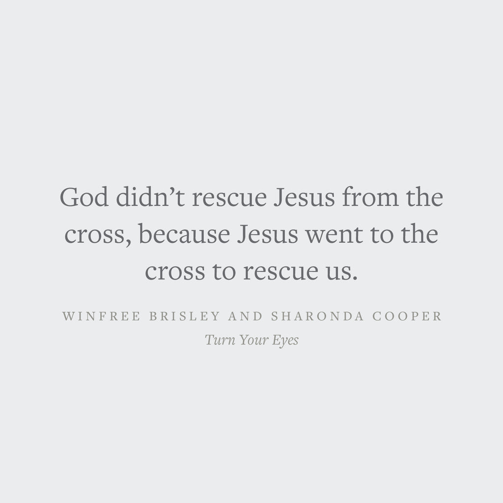 Turn Your Eyes: A Bible Study on the Psalms