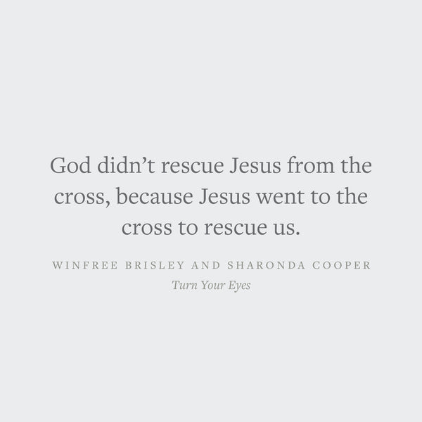 Turn Your Eyes: A Bible Study on the Psalms