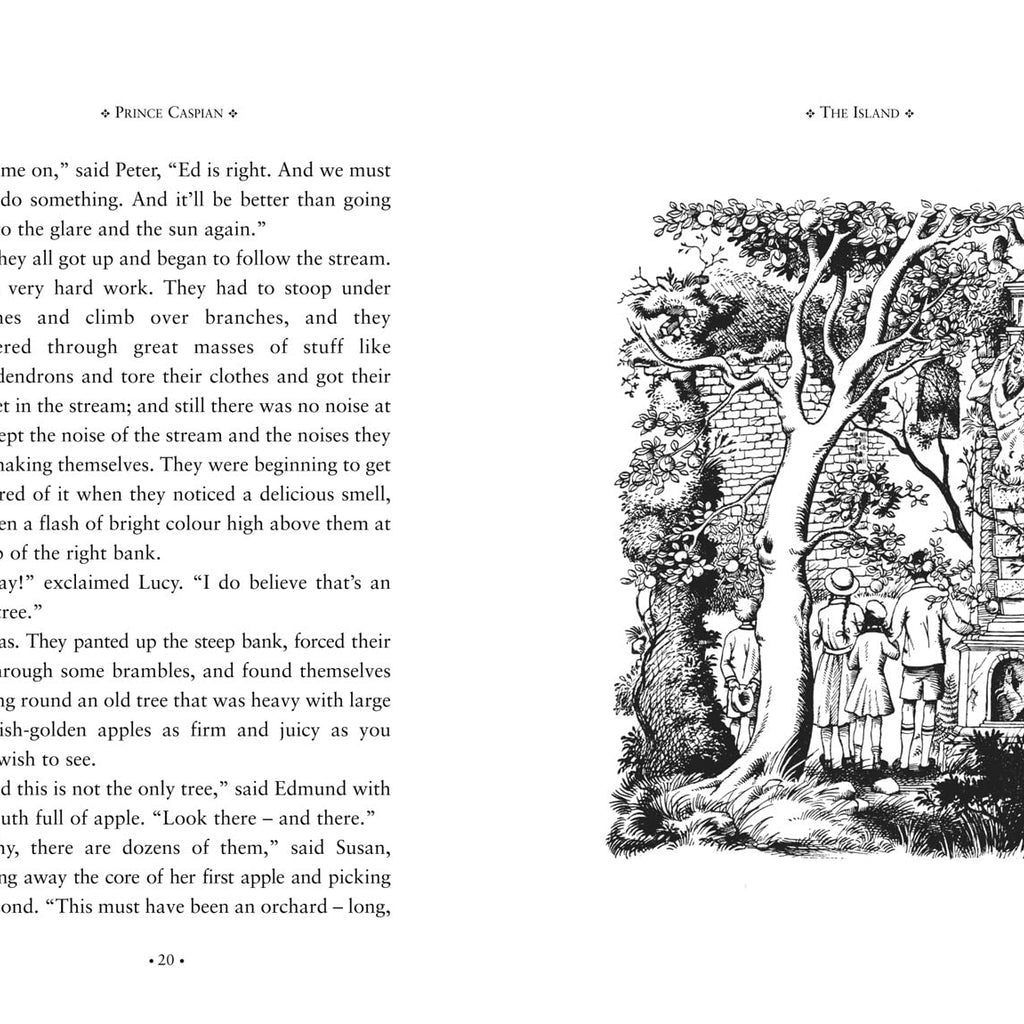 The Chronicles of Narnia Boxed Set