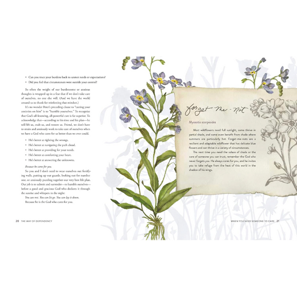 The Way of the Wildflower: Gospel Meditations to Unburden Your Anxious Soul