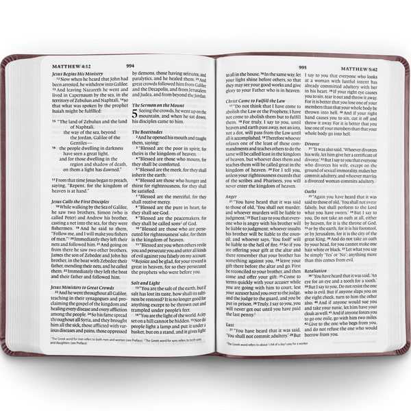 ESV Large Print Value Thinline Bible, TruTone®, Mahogany, Border Design