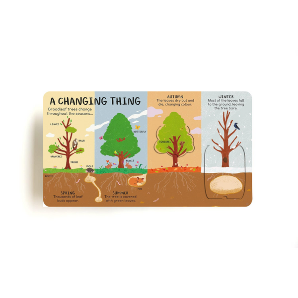 All the Things a Tree Can Be