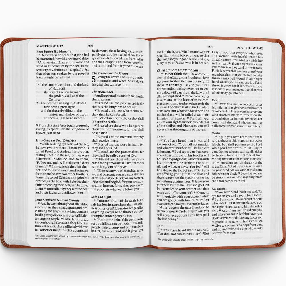 ESV Large Print Value Thinline Bible, TruTone®, Camel