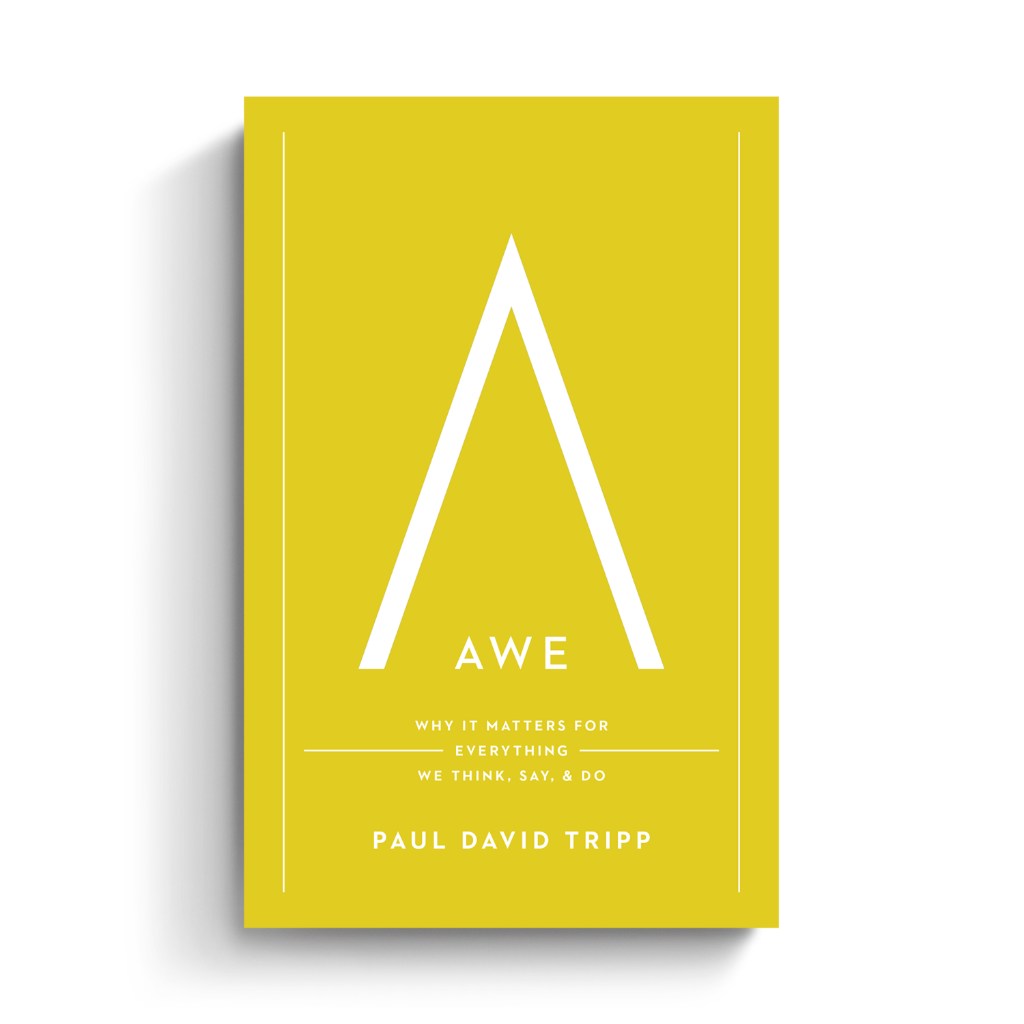 Awe: Why It Matters for Everything We Think, Say, and Do