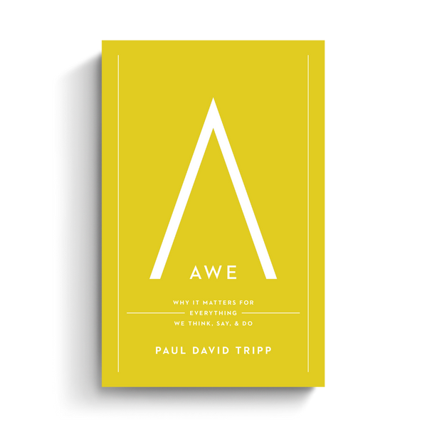 Awe: Why It Matters for Everything We Think, Say, and Do