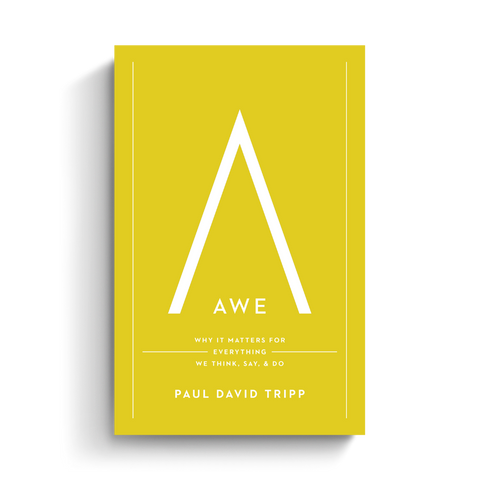 Awe: Why It Matters for Everything We Think, Say, and Do