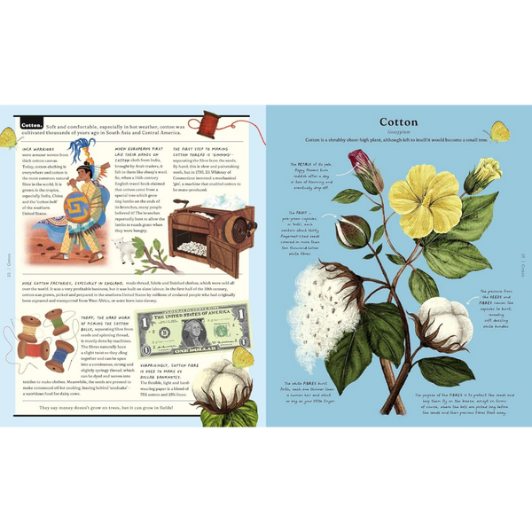 The Stuff that Stuff is Made of: Things We Make With Plants