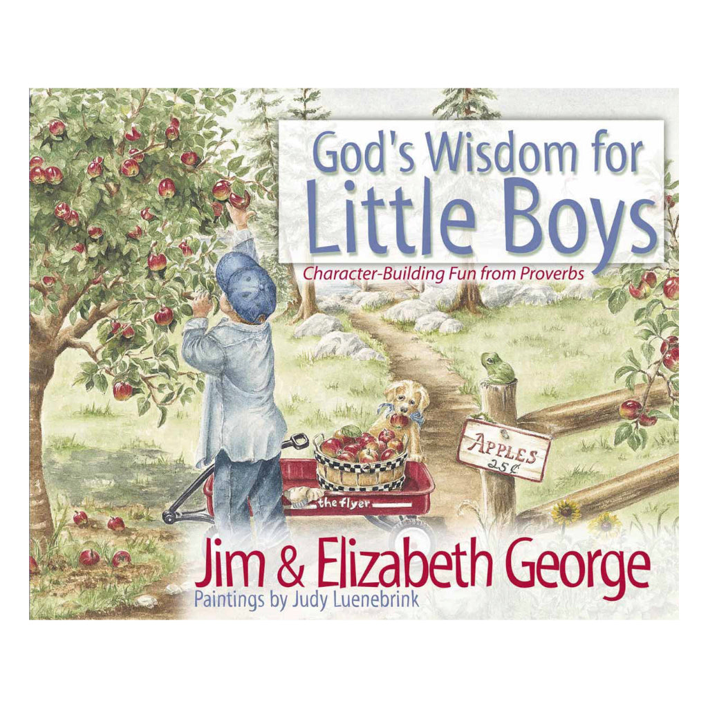 God's Wisdom for Little Boys: Character Building Fun from Proverbs