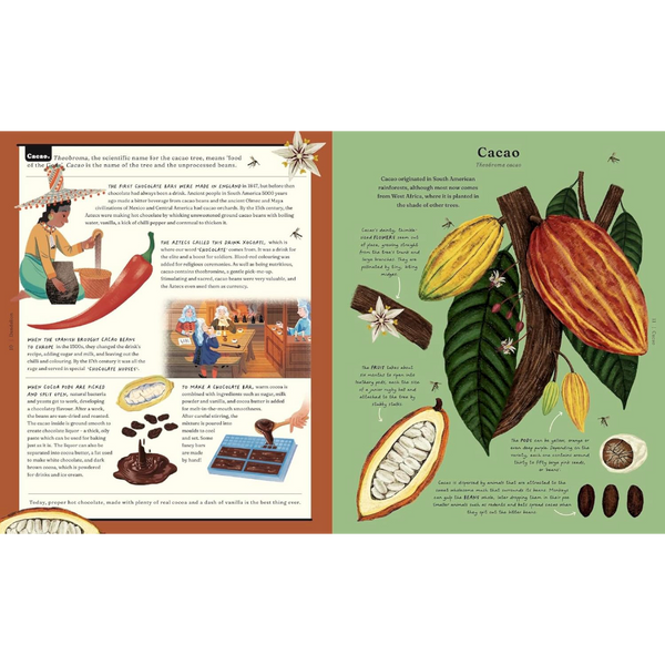 The Stuff that Stuff is Made of: Things We Make With Plants