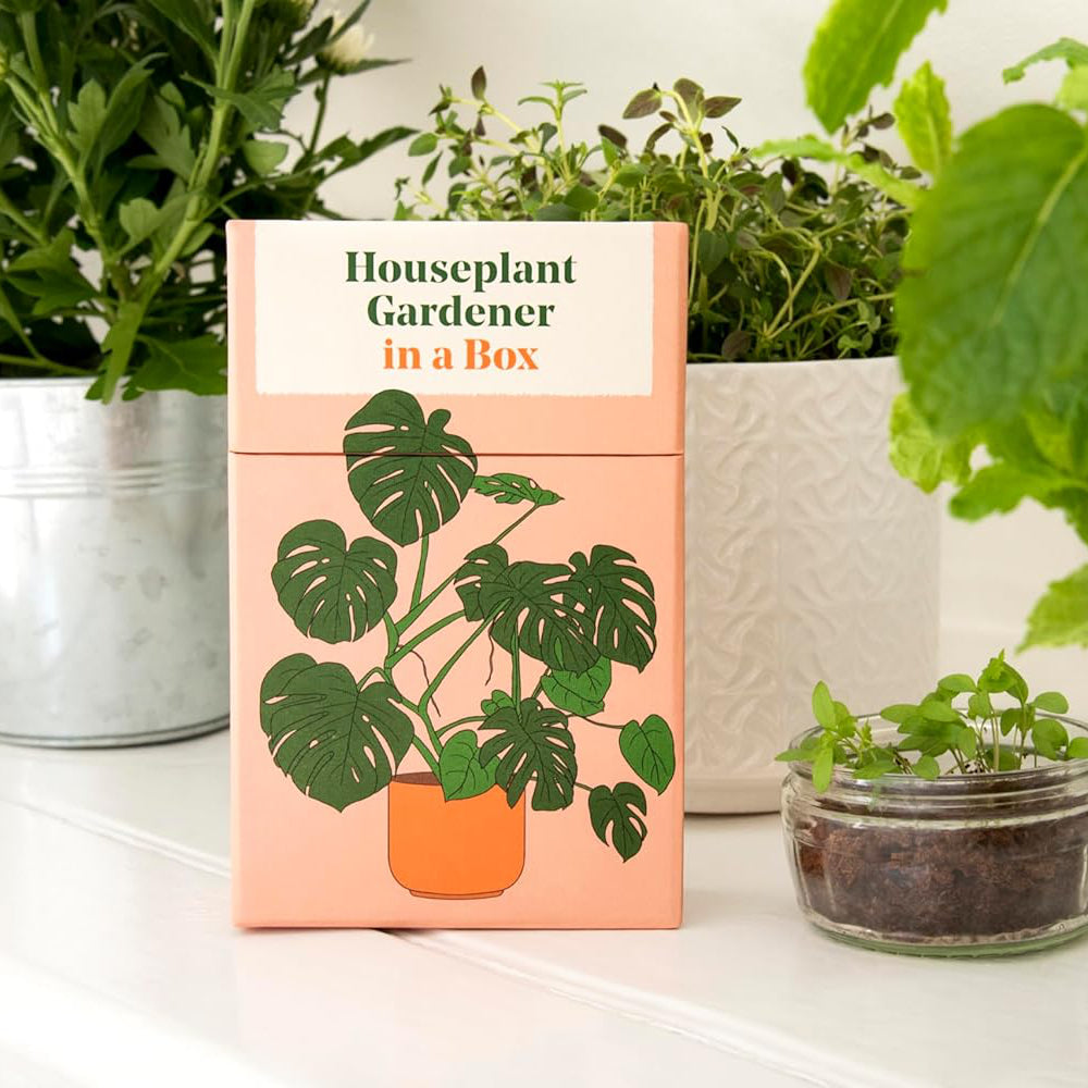 Houseplant Gardener in a Box
