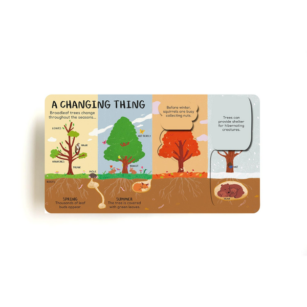 All the Things a Tree Can Be