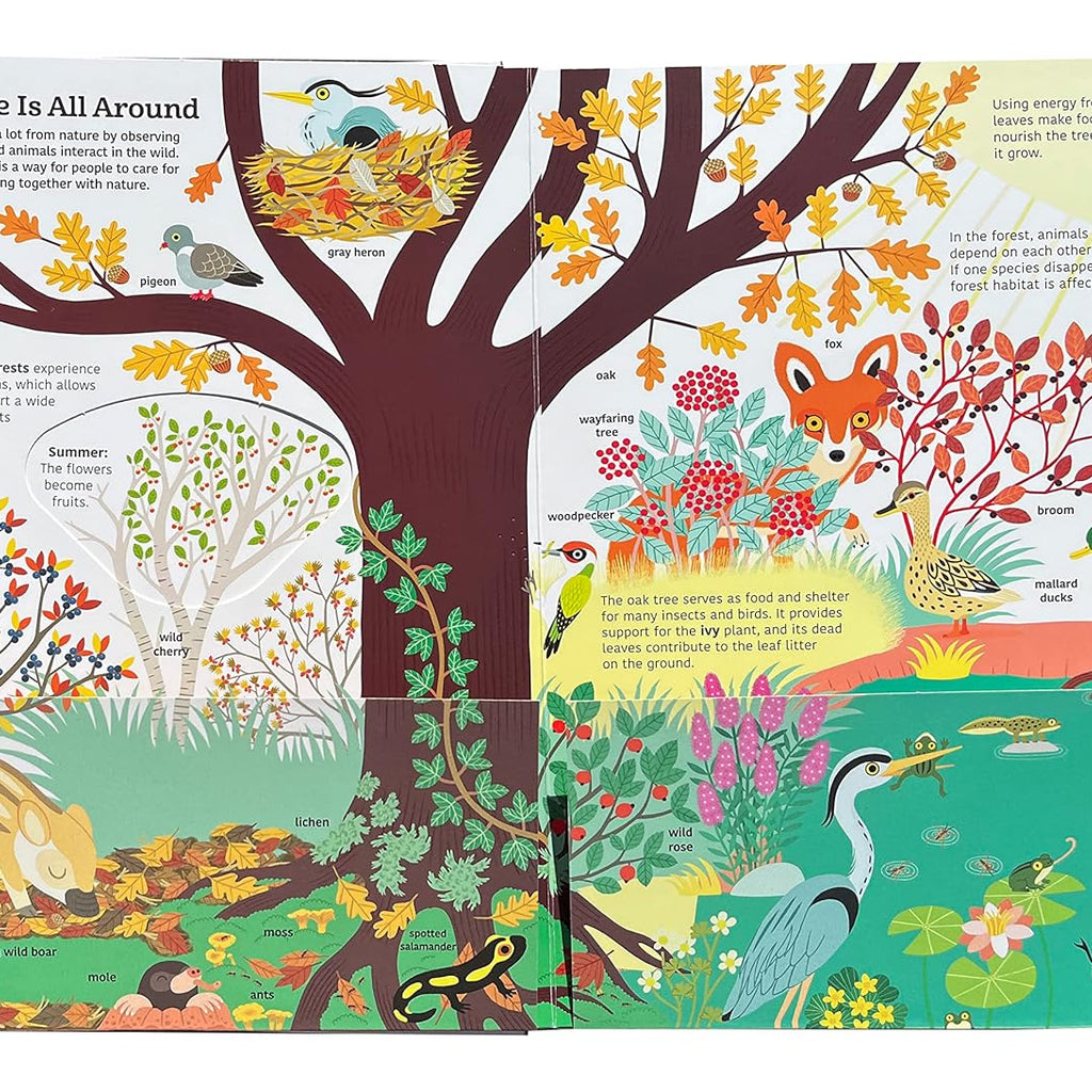 Ultimate Spotlight: Caring for Earth