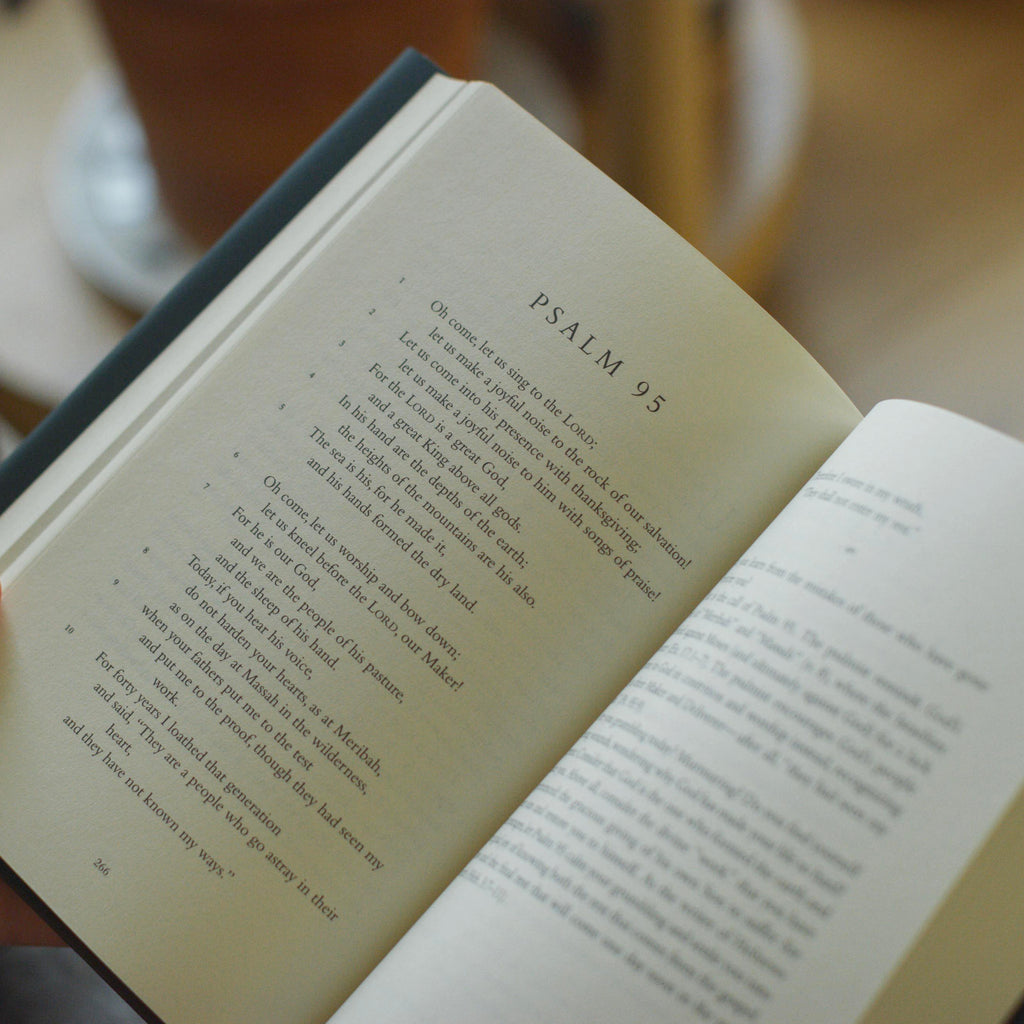 In the Lord I Take Refuge: 150 Daily Devotions through the Psalms