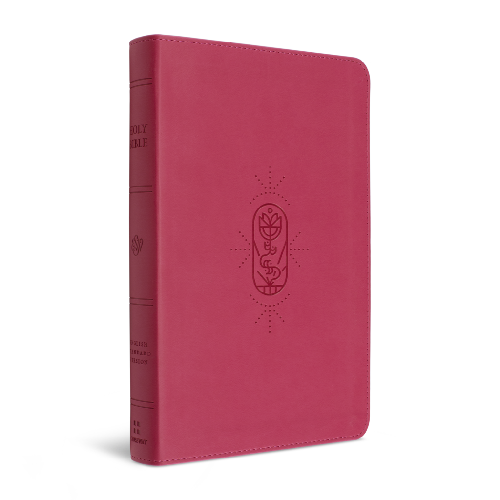 ESV Kid's Bible, Thinline TruTone®, Berry, The True Vine Design