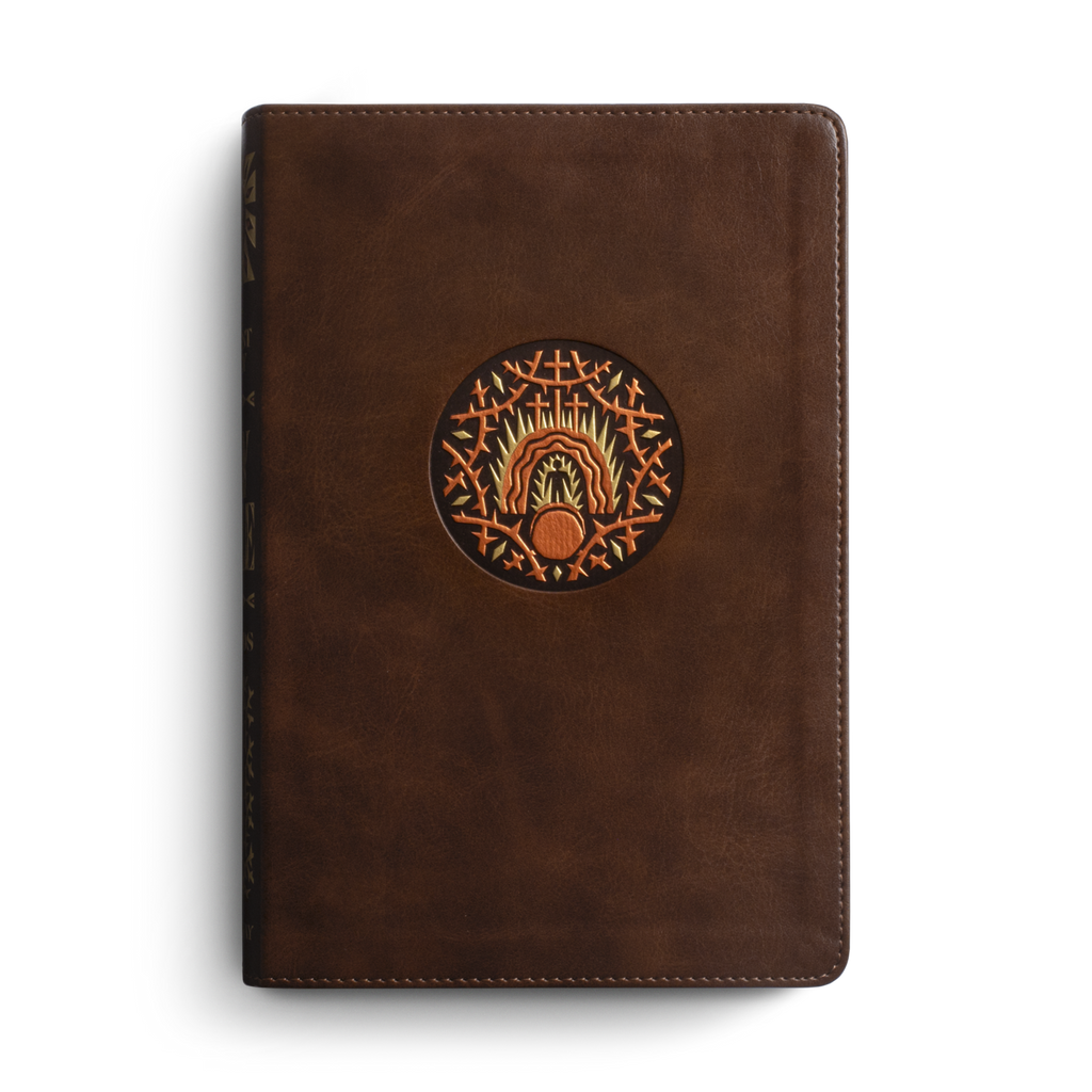 ESV The Biggest Story Holy Bible for Kids