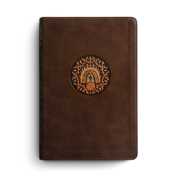 ESV The Biggest Story Holy Bible for Kids