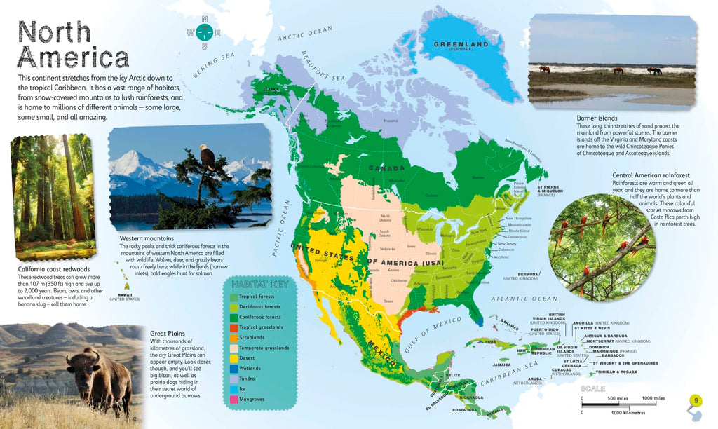 Children's Illustrated Animal Atlas