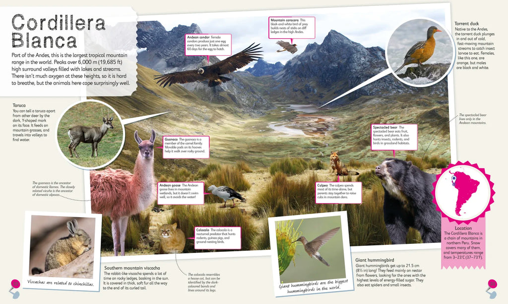 Children's Illustrated Animal Atlas