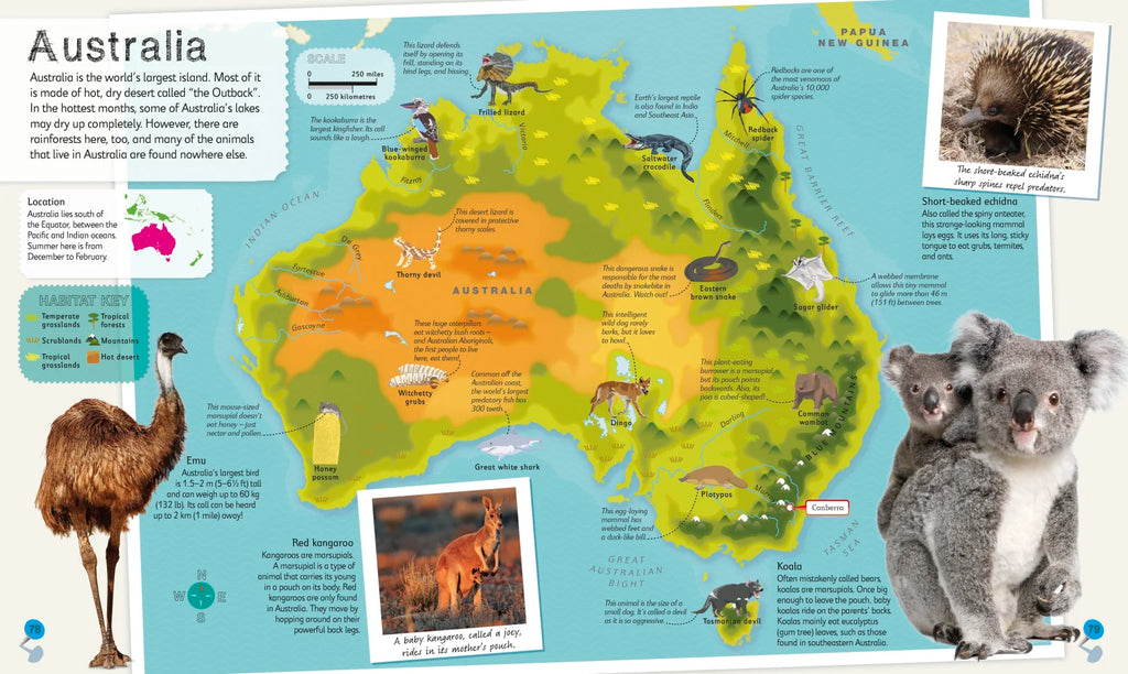 Children's Illustrated Animal Atlas