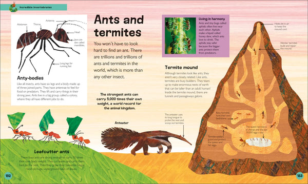 The Very Hungry Caterpillar's Very First Animal Encyclopedia