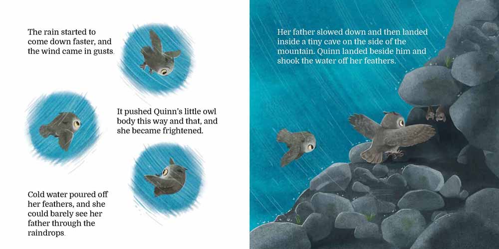 Quinn's Promise Rock: No Matter Where, God Is Always There