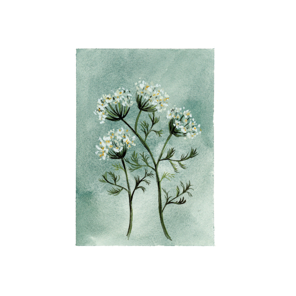 Lift Your Eyes: Daily Invitations to Behold Christ in Motherhood