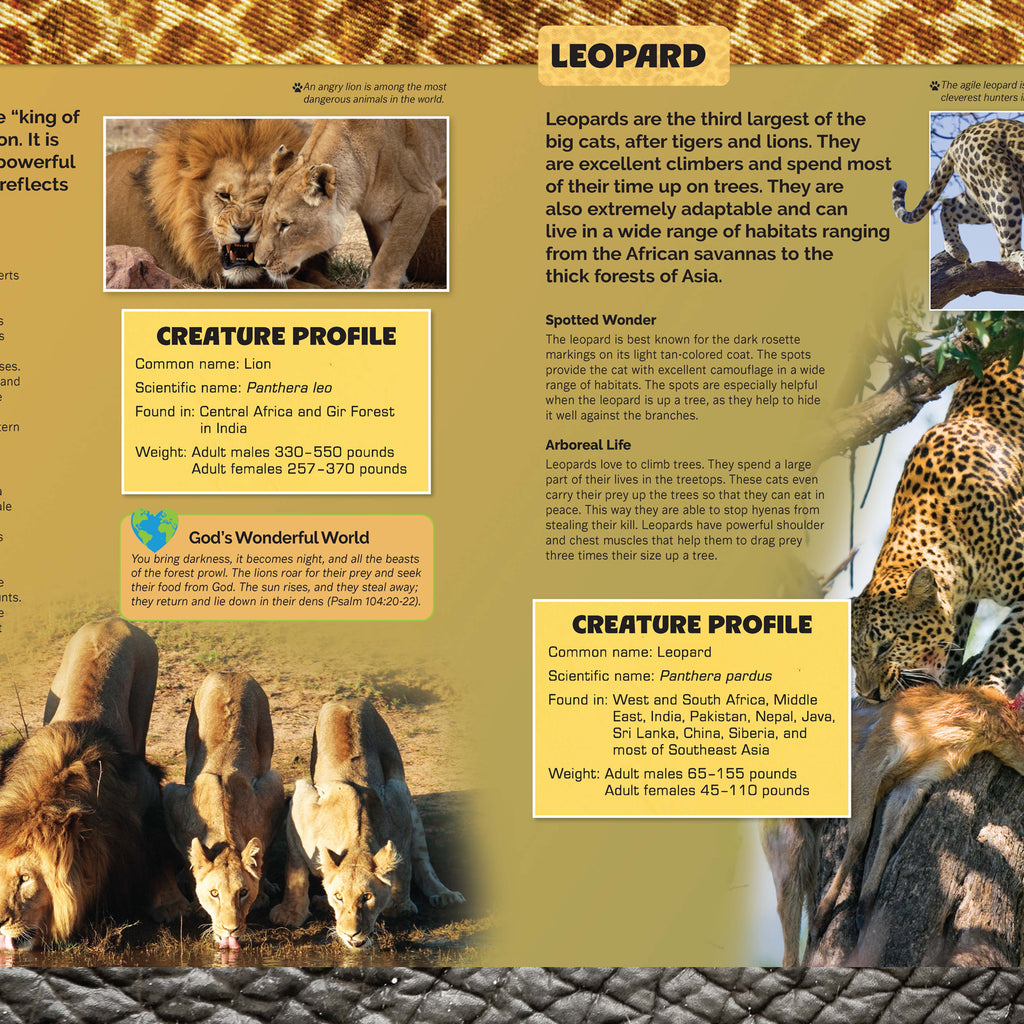 Let's Explore Amazing Animals