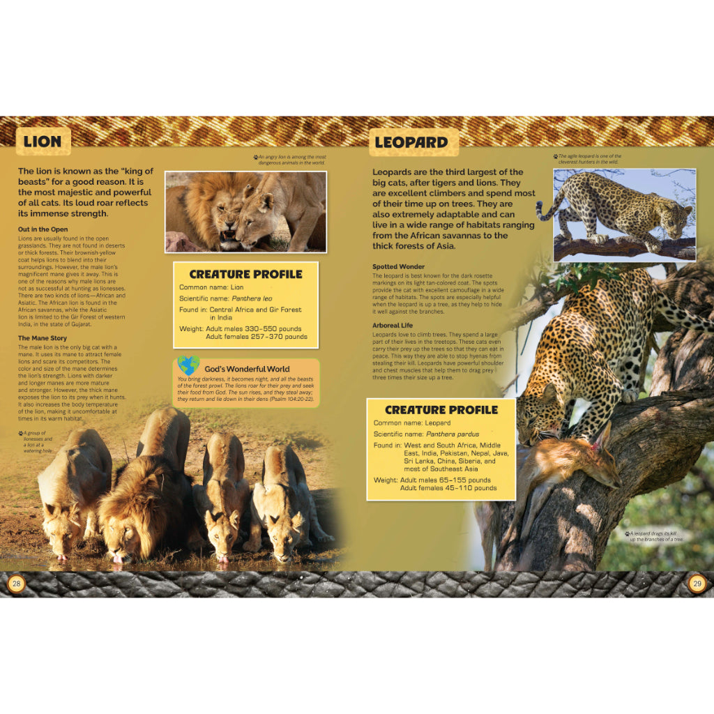 Let's Explore Amazing Animals
