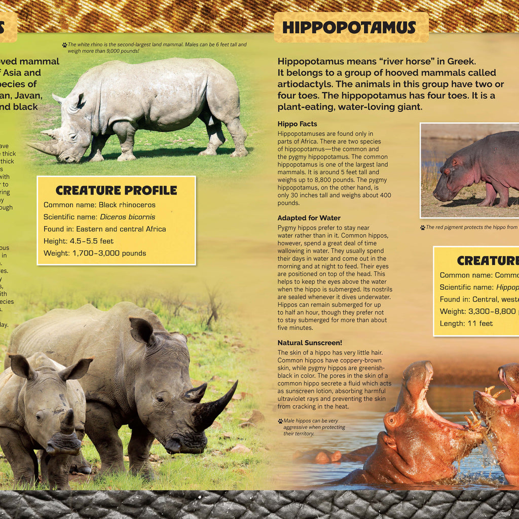 Let's Explore Amazing Animals