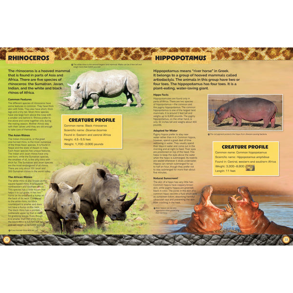 Let's Explore Amazing Animals