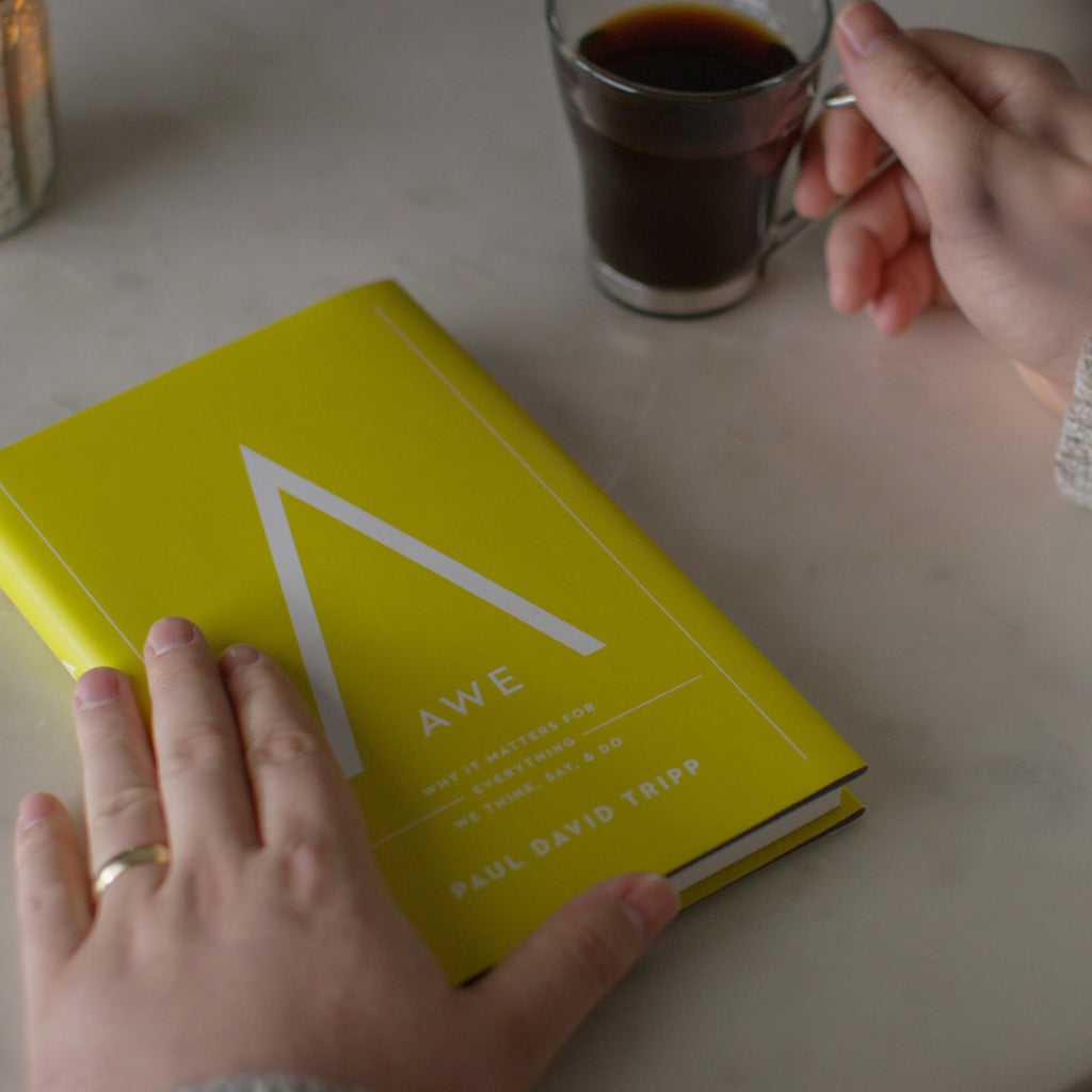 Awe: Why It Matters for Everything We Think, Say, and Do