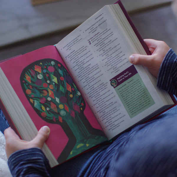 ESV The Biggest Story Holy Bible for Kids