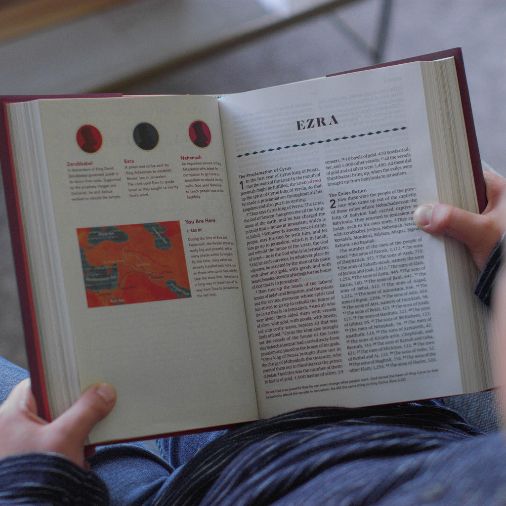 ESV The Biggest Story Holy Bible for Kids