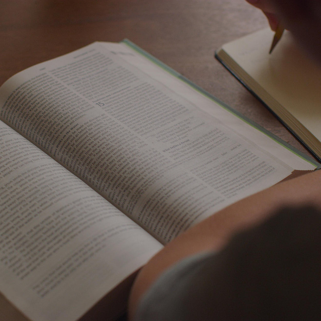 ESV Teen Study Bible TruTone®, Blush/Caramel