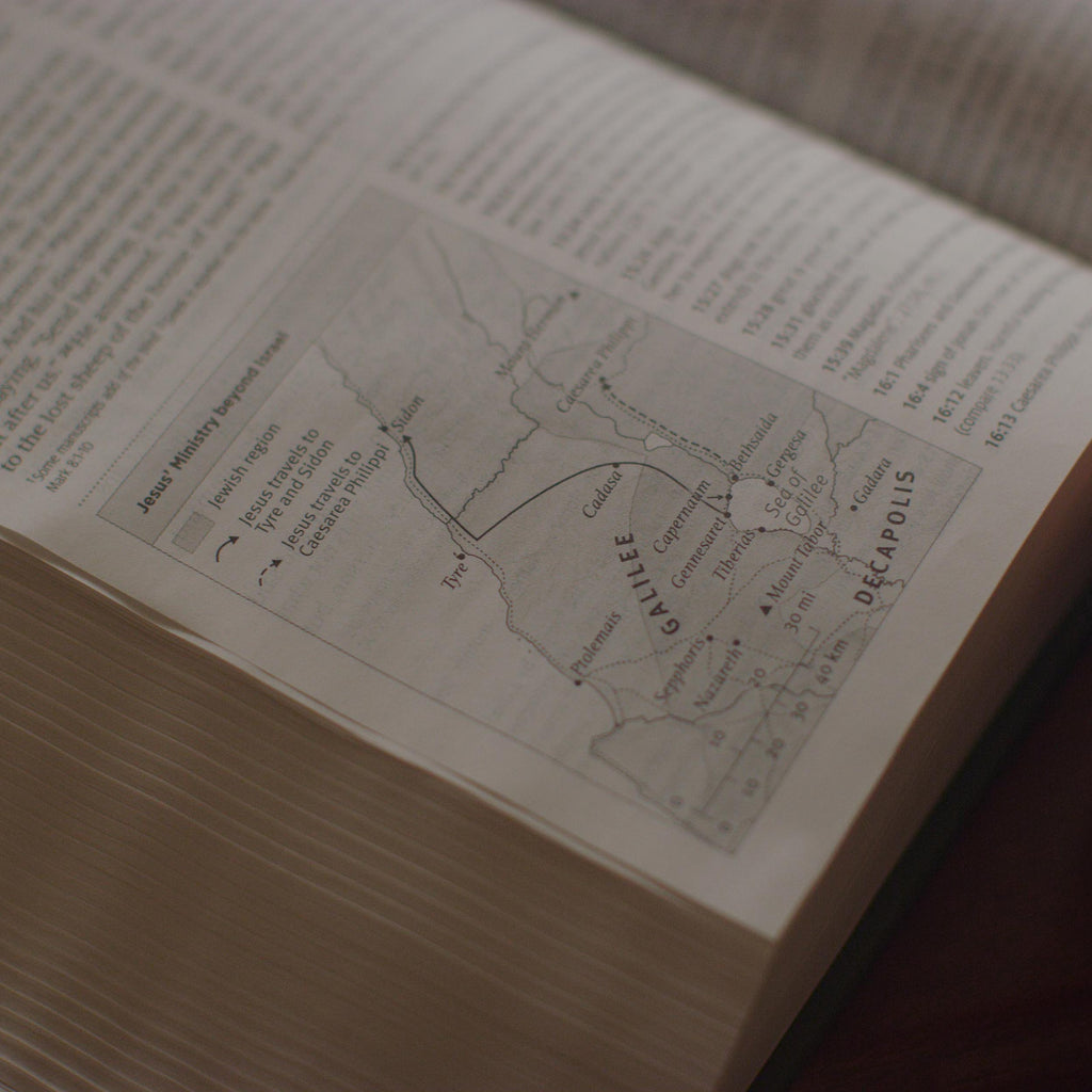 ESV Teen Study Bible TruTone®, Blush/Caramel