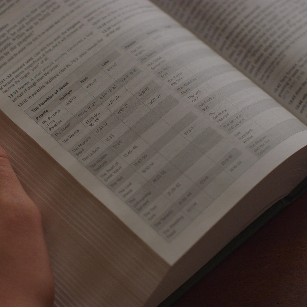 ESV Teen Study Bible TruTone®, Blush/Caramel