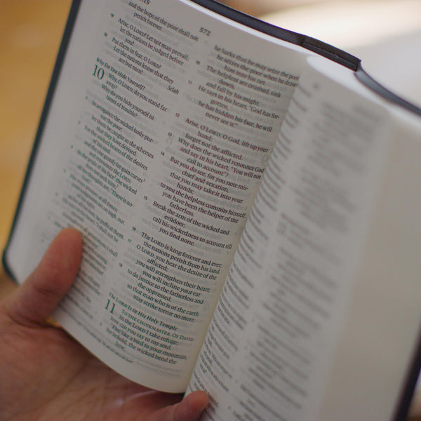 [As Is] ESV Large Print Value Compact Bible, TruTone®, Blush Rose, Fleur-de-lis Design